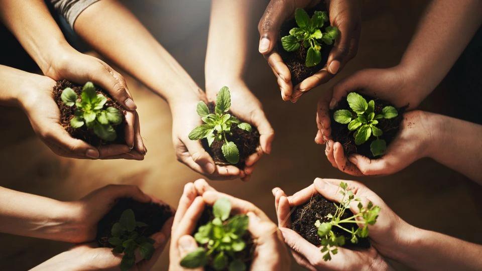 How Consumers Can Make Sustainable Choices in Men's Fashion